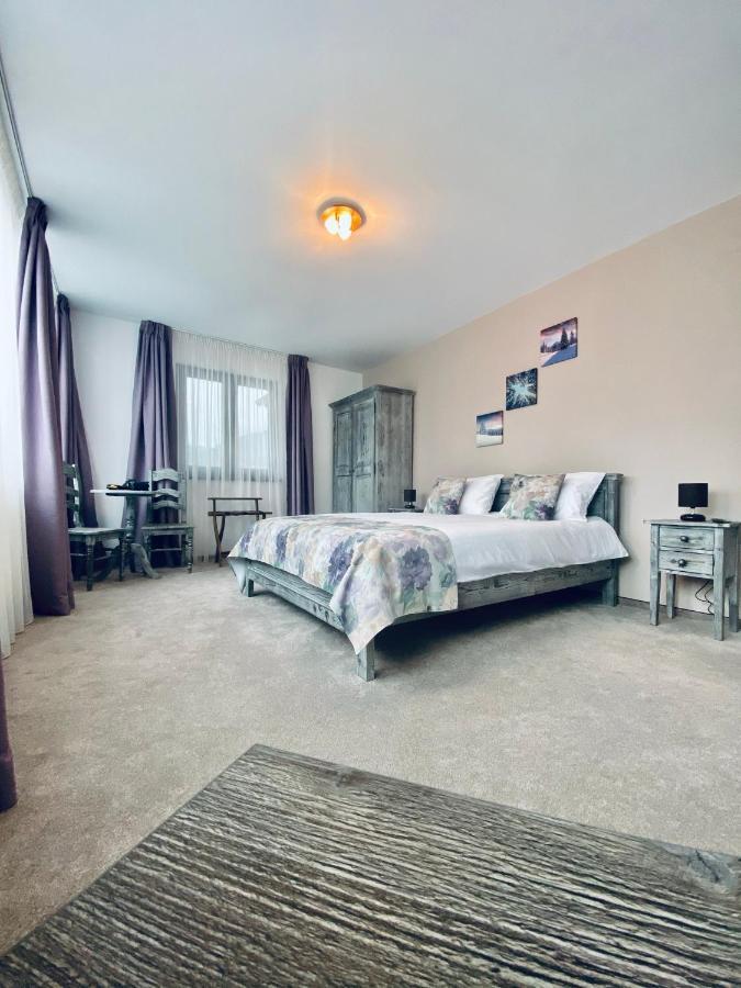 Casa Ankeli Bed & Breakfast Busteni Bagian luar foto