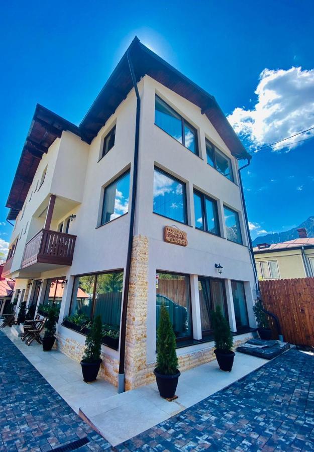 Casa Ankeli Bed & Breakfast Busteni Bagian luar foto