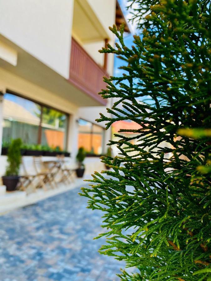 Casa Ankeli Bed & Breakfast Busteni Bagian luar foto