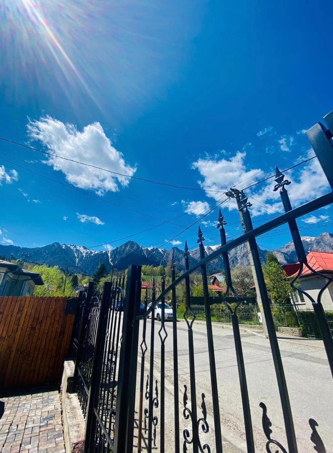 Casa Ankeli Bed & Breakfast Busteni Bagian luar foto